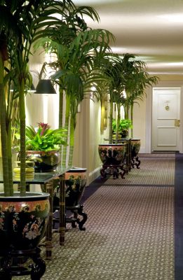 Santa Barbara Inn - Hallway