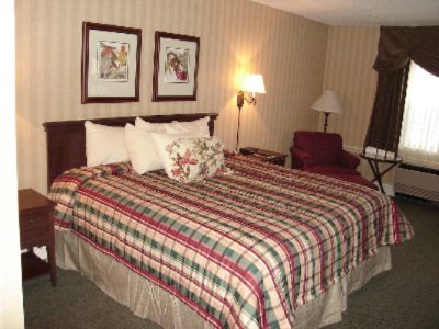 King Guest Room