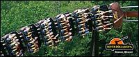 Best Western Branson Inn & Conference Center - Silver Dollar City