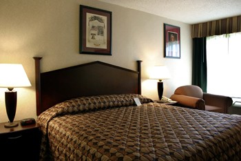 Best Western Springfield - Our One King Non-smoking Room