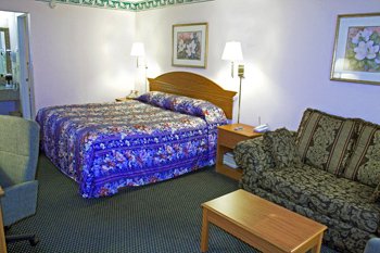 Our King-room W/ Desk And Lr Area