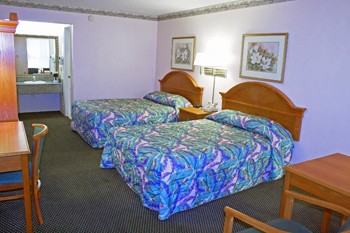 Double Room With 2 Queen-size Beds