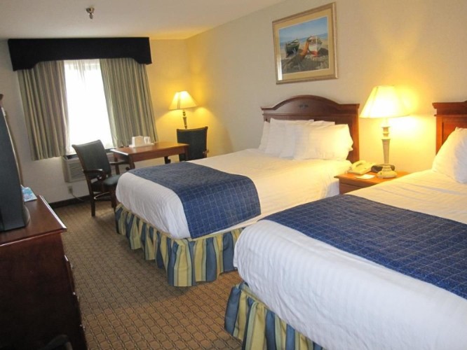 Best Western Airport Inn - King Guest Room
