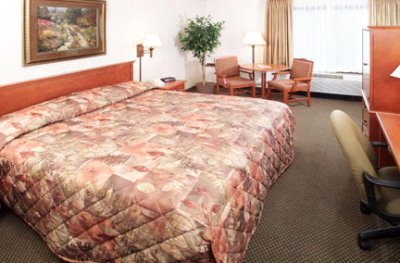 Best Western Kelly Inn - 