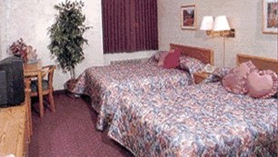 The Plaza Hotel - 