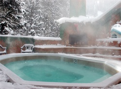 Alpine Village Suites - 