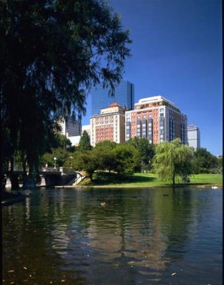 The Ritz-carlton Boston