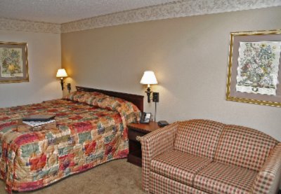 Best Western Dyersburg Inn - King Sofa Bed Room
