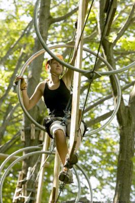 Carriage Ridge Resort at Horseshoe Valley - Arbraska Tree Top Trekking