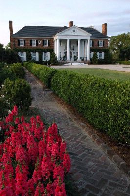 Best Western Charleston Downtown - Boone Hall Plantation Home