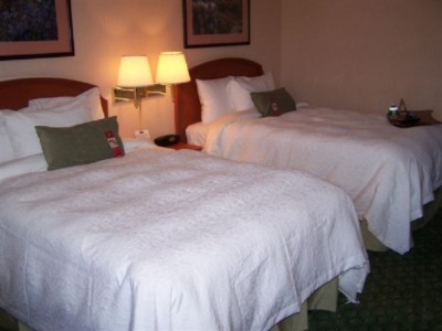 Hampton Inn Philadelphia Airport - Our Cloud 9 Bedding