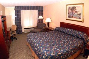 Our King Room