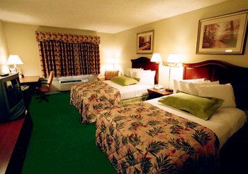 Best Western South - Standard Room With Pillowtop Mattresses