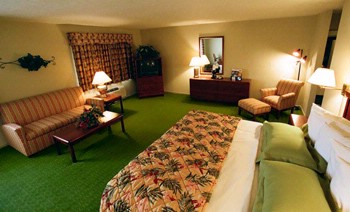 Best Western South - Deluxe King