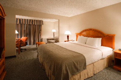 Bettendorf Holiday Inn & Suites - Our Deluxe King Junior Suite
