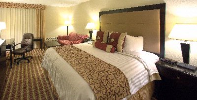 Holiday Inn Lanier Centre Hotel - Business King Room