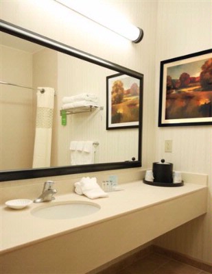 Hampton Inn Johnson City - 