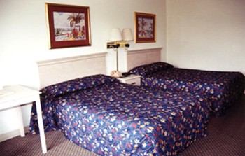 Full Size Double Beds