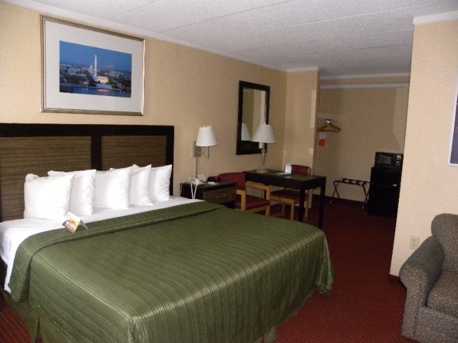 Our Deluxe 2-queen Size Beds