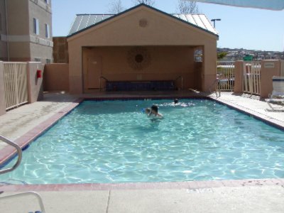 Pool & Whirlpool Spa