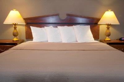Best Western - King Room