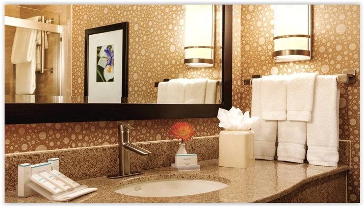 Hilton Garden Inn Houston Northwest - Our Upgraded King With Sofa Sleeper We Can Accommodate More Sleeping Room When Needed