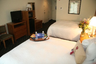 Hampton Inn & Suites - Double Standard