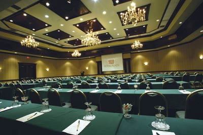 Royal Plaza in The Walt Disney World Resort - Castle Harbour Ballroom