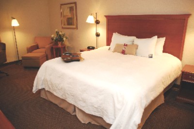 Hampton Inn Columbus Airport - 