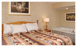 Comfort Inn & Suites Hotel & Conference Center - 