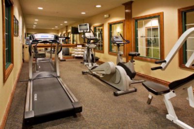 Holiday Inn Express Hotel & Suites Addison - 