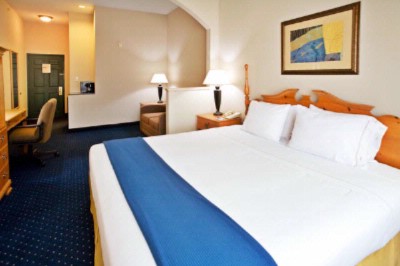 Holiday Inn Express Hotel & Suites Addison - 