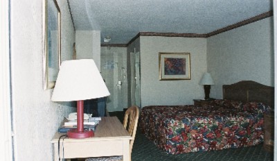 Standard King Bed