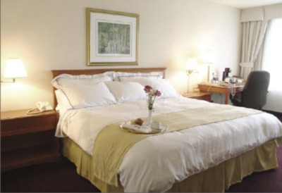 Radisson Riverfront Hotel Windsor - 