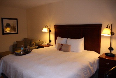 Hampton Inn Cypress Creek - 