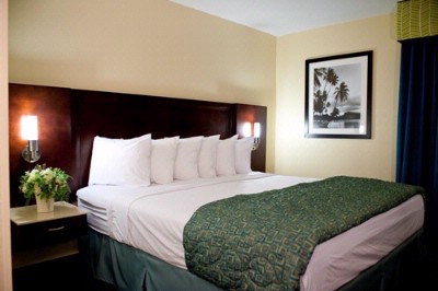 Comfort Inn Mission Bay by Seaworld - Guest Room