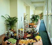 Large Group Banquets Available