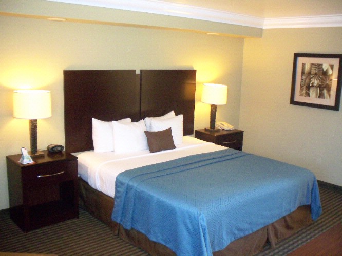 Standard King Guest Room