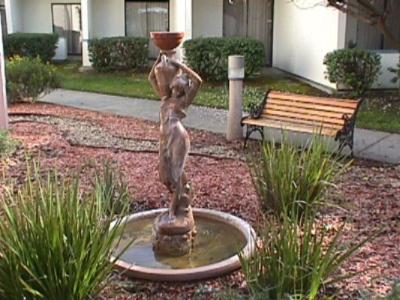 Zen Garden Area