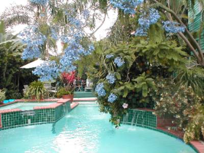 Salt Water Pool & Hot Tub