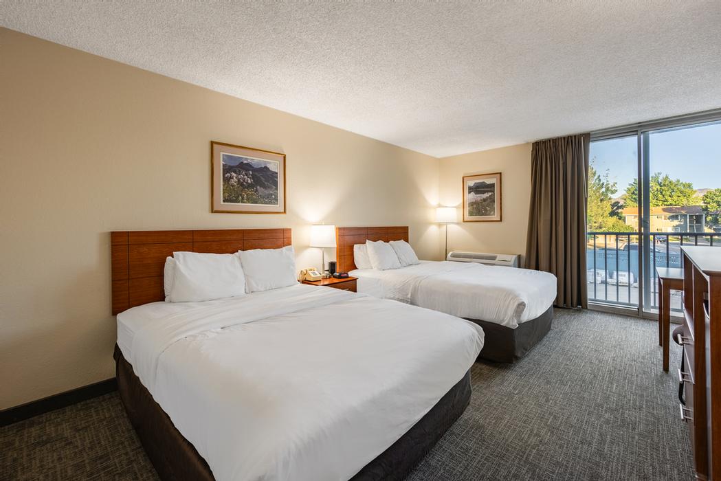 Quality Inn & Suites - King Room