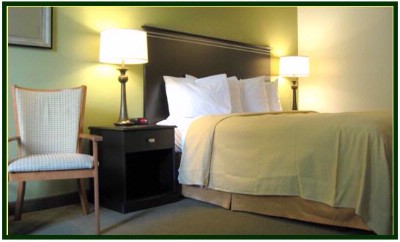 Single Room With Kingsize Bed/business Desk