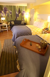The Hotel Indigo Dallas Downtown - Double Standard