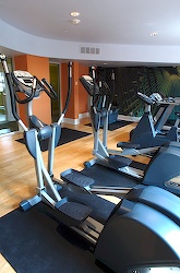 The Hotel Indigo Dallas Downtown - Phitness Room