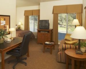 Studio Suite
