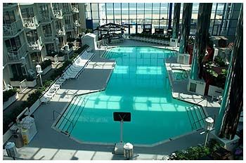 Olympic -sized Indoor Pool