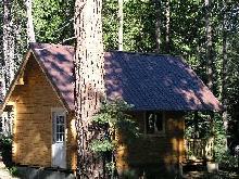 The proverbial cabin in the woods
