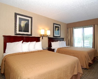 King Bed Room