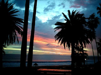 Best Western Casablanca Inn - Just A Short Stroll To The Beach