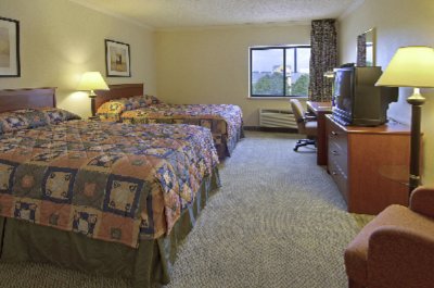 Large Double-bedded Room